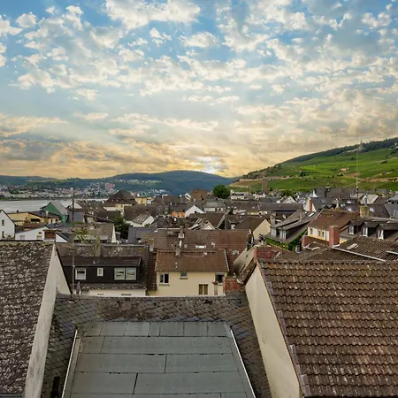 公寓 Home4now Ruedesheim - Zentral - Gemuetlich - Panorama 吕德斯海姆